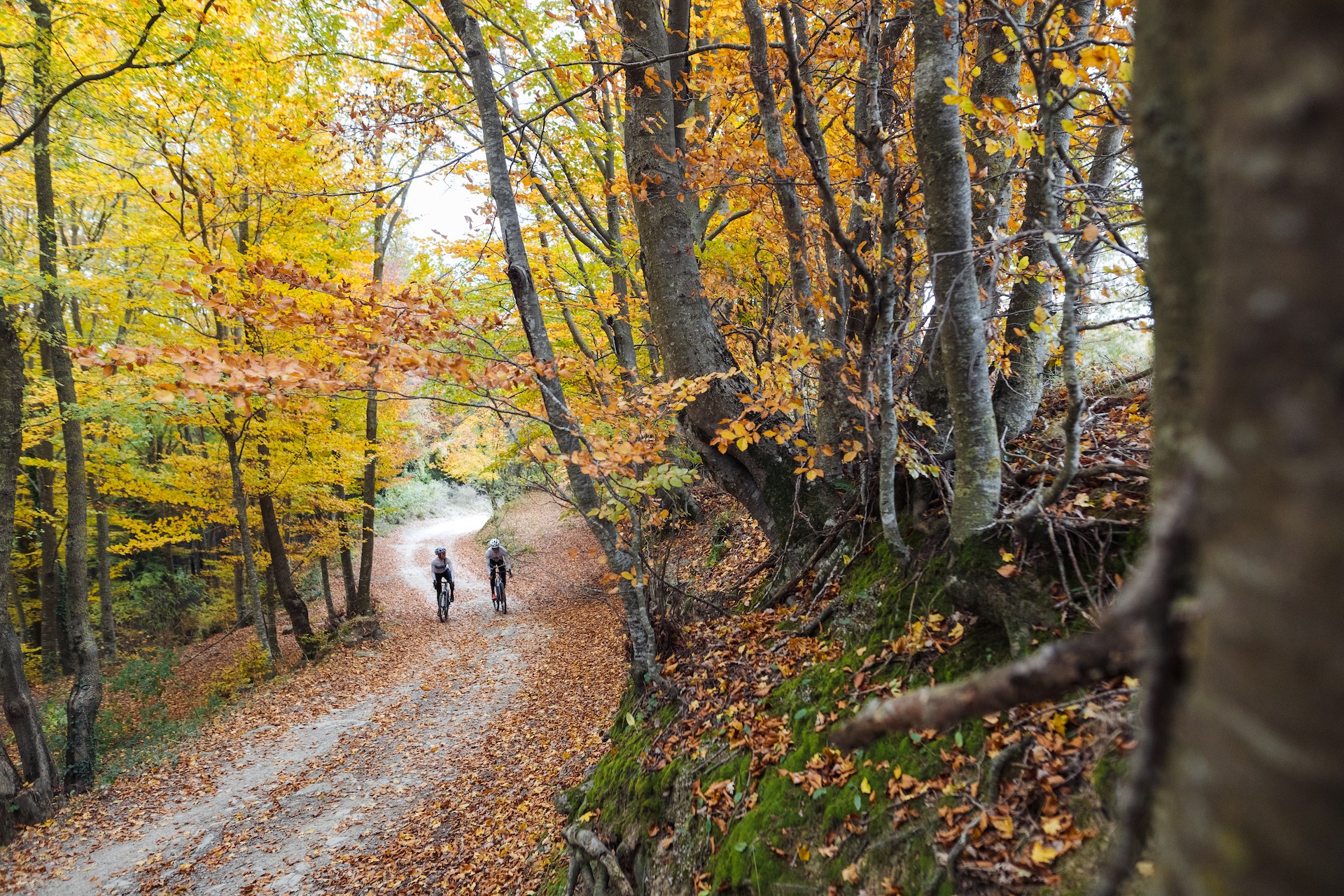 Gravel Cycling Training